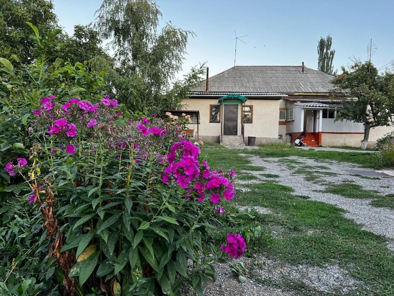 Bulak Hotel Karakol Exterior photo